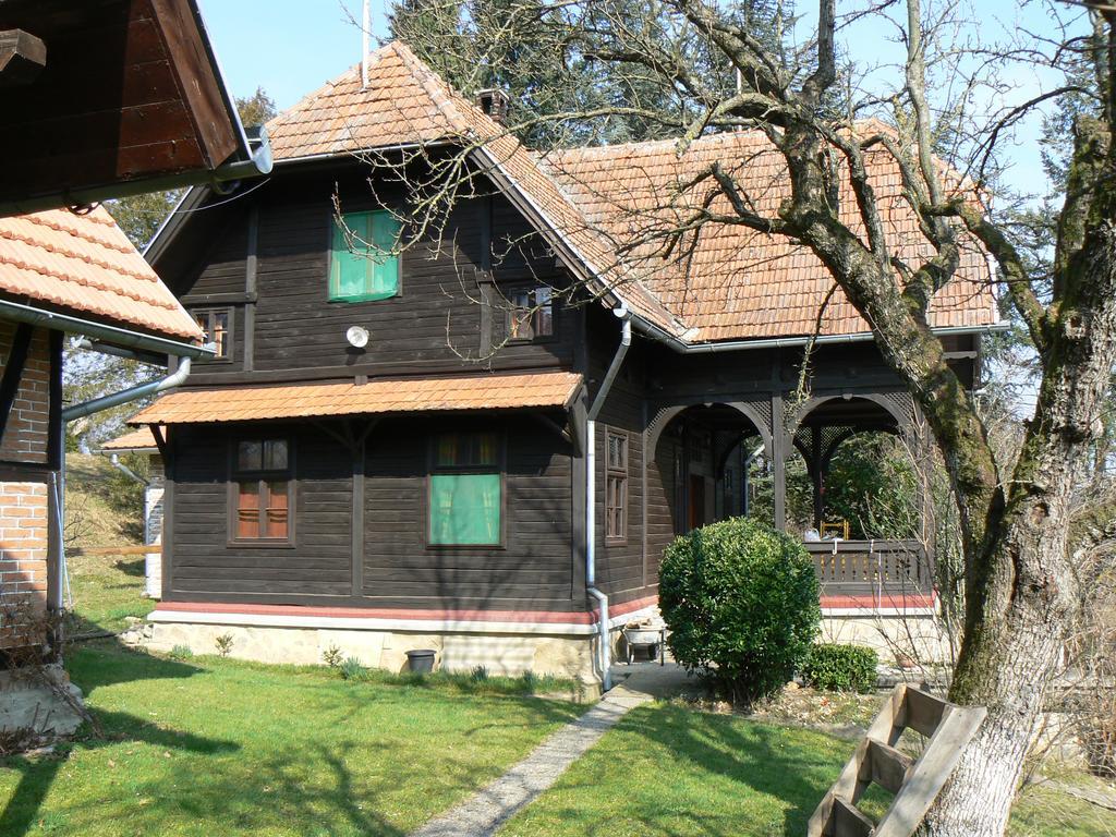 Country House Stoljetna Vila Seona Zewnętrze zdjęcie