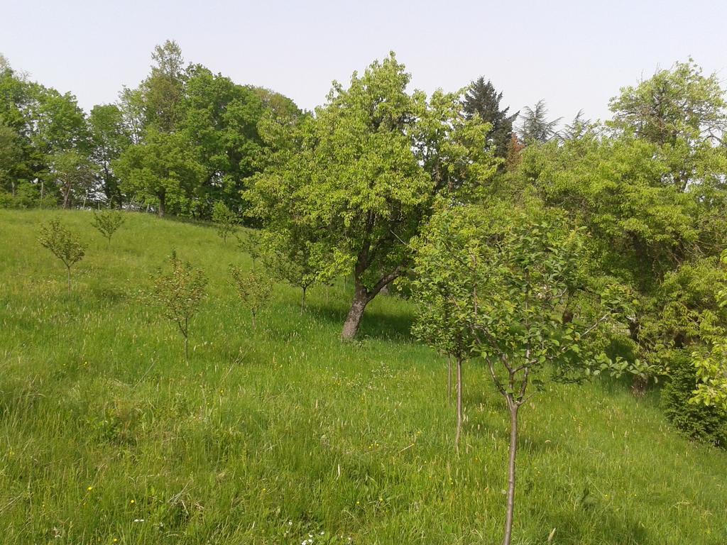Country House Stoljetna Vila Seona Zewnętrze zdjęcie