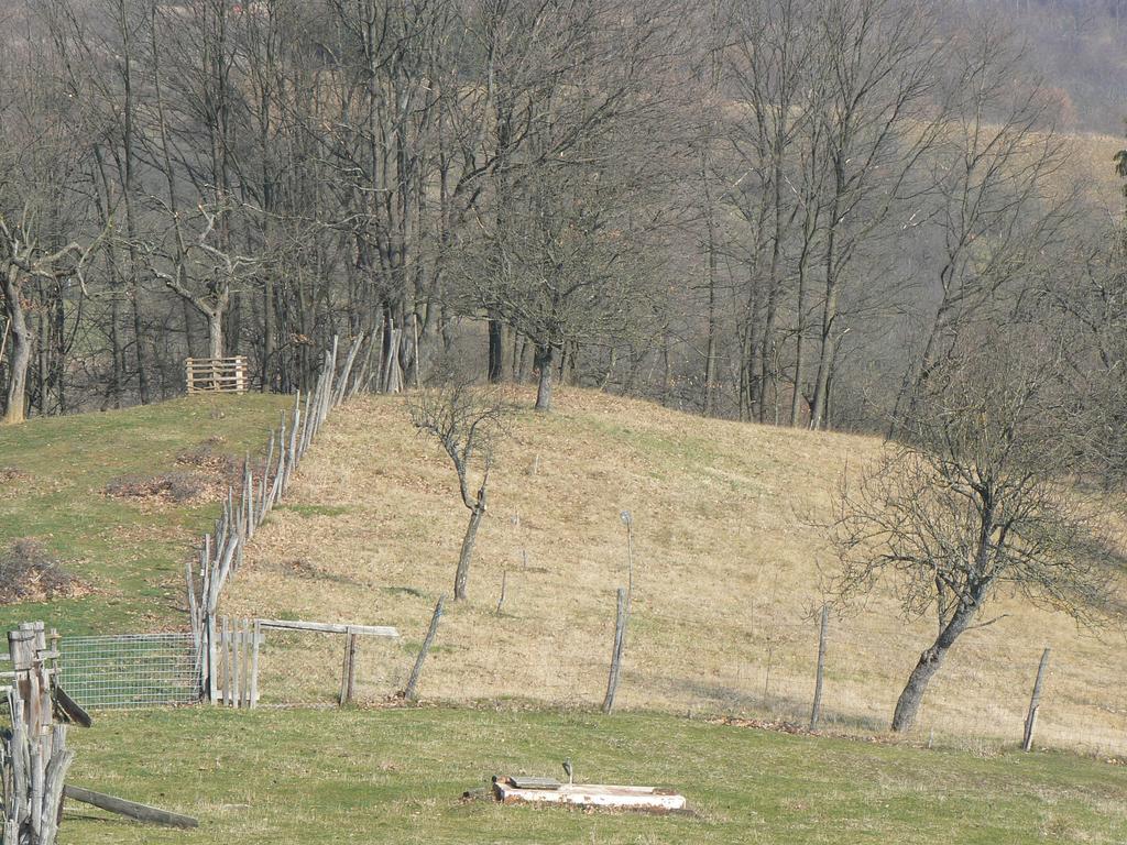 Country House Stoljetna Vila Seona Zewnętrze zdjęcie