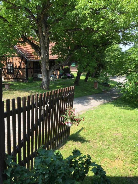 Country House Stoljetna Vila Seona Zewnętrze zdjęcie