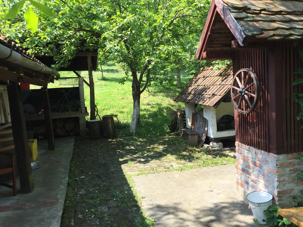 Country House Stoljetna Vila Seona Zewnętrze zdjęcie