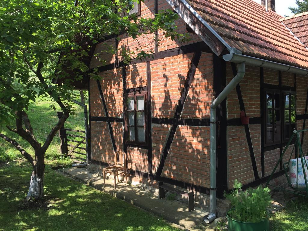 Country House Stoljetna Vila Seona Zewnętrze zdjęcie